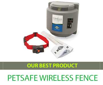 Our Best Wireless Dog Fence Choice